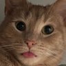 Profilbild von Dylan Allen
