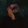 Lucciano's profile picture