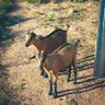 Saneliso's profile picture