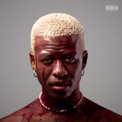 bravoleroux's profile picture