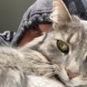 max profil fotoğrafı