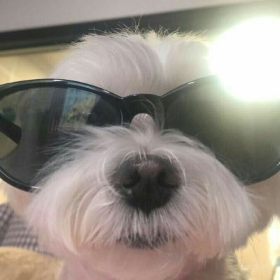 쫭깅!!'s profile picture