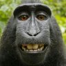 Profilbild von Honza