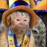 pelón_el_de_la_barba's profile picture