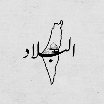 elbilad48's profile picture