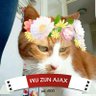Linda Leeman ๐ณ๐ฑ๐ฎ๐ฑ๐ณ๐ฑ๐'s profile picture