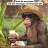 Tudo nosso 75's profile picture