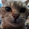 Ninja3050's profile picture