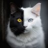 仓里 · 忙割 profil fotoğrafı