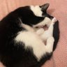 jane rainey🏴's profile picture