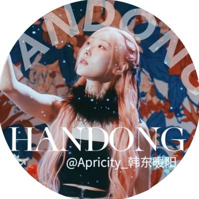 Apricity_韩东暖阳☀️'s profile picture