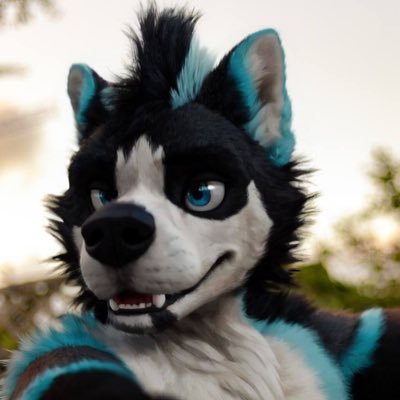 GermanSkrat's profile picture