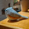Фото профиля Lonely Swiftlet/Skary