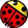ladybird 的头像