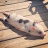 けいこ's profile picture