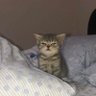 HER's profile picture