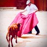 Profilbild von Paco de Guadalajara