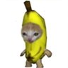 silly man's profile picture