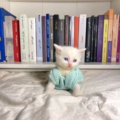 Yasmine_fare's profile picture