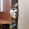 ???😼♐😼 的头像