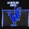 La neta del gallo 的头像