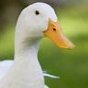 trip's profile picture