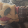 Xavier Quintin-Moran's profile picture