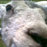 Lou Kellett's profile picture