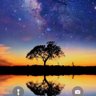 星辰大海's profile picture