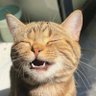 Profilbild von romec ©