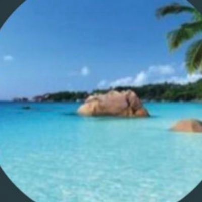 OpeBee's profile picture
