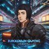 Blockchain Gaming 👾🥷 的头像