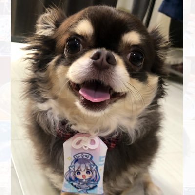 Kamokko777's profile picture