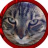 Profilbild von ♨️John♨️Gregorek♨️ ㊺㊼