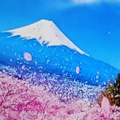usagidesyo's profile picture