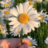 Fatimah Adubo's profile picture