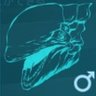 Yama OP's profile picture