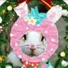 みうらっち 的头像