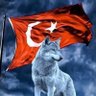 Bozkurt 的头像