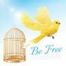 Фото профиля Azad Zada 🕊️ آزاد پنچھی