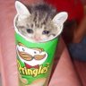 Profilbild von whatamidoing475