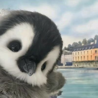 aubergine_ad's profile picture