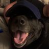 Tanner (gone golfing)'s profile picture
