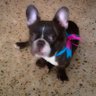 Beby's profile picture