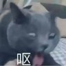 敬一's profile picture