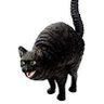 Gato Preto profil fotoğrafı