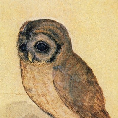 Zherkology's profile picture