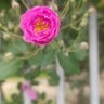 Фото профиля 阿达