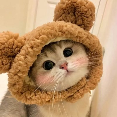 tianmao0222's profile picture