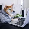 scy profil fotoğrafı